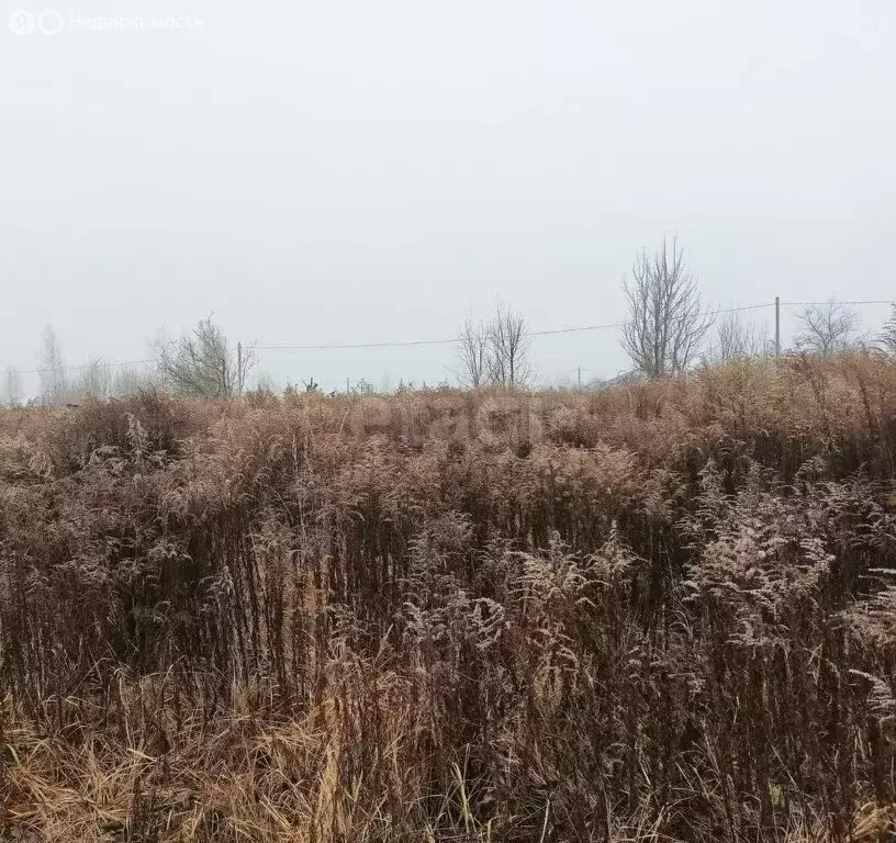 Участок в Добрунское сельское поселение, СДТ БЭМЗ (6 м) - Фото 1