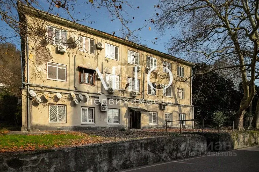 1-к кв. Краснодарский край, Сочи городской округ, Дагомыс пгт ул. ... - Фото 2