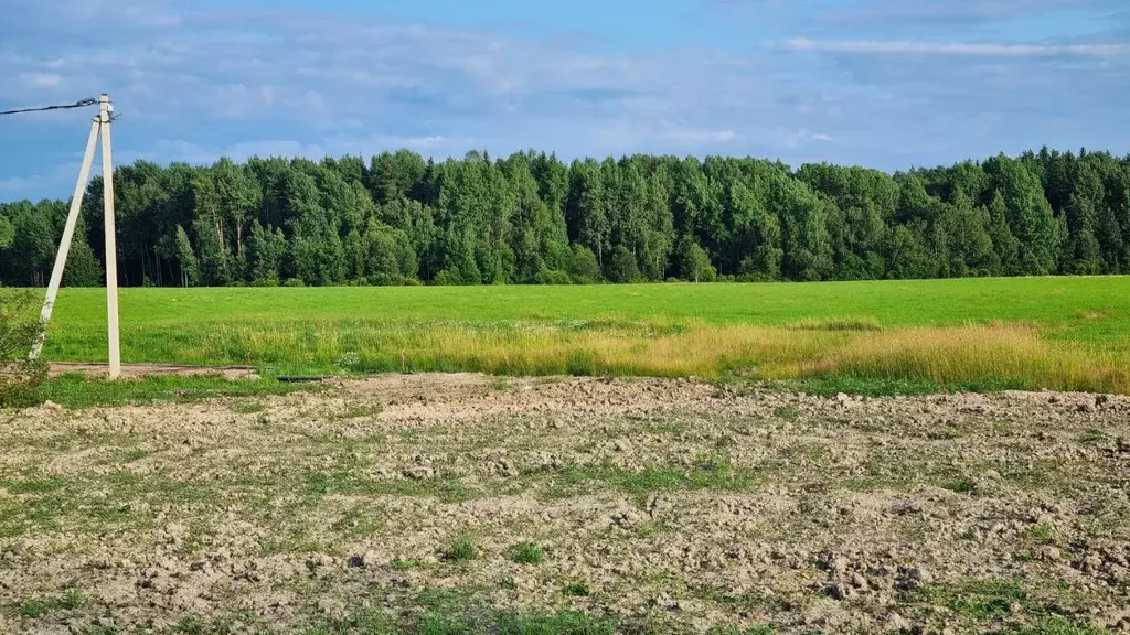 Участок в Санкт-Петербург пос. Левашово, 17 (17.56 сот.) - Фото 1