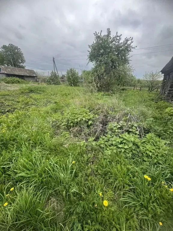 Участок 40 сот. (ИЖС) - Фото 1