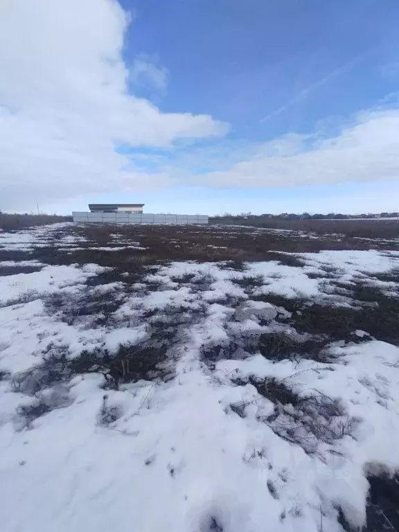 Участок в Белгородская область, Белгородский район, пос. Майский ул. ... - Фото 1