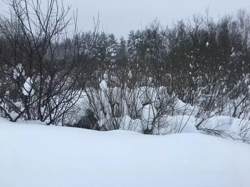 Участок в Московская область, Пушкинский городской округ, д. ... - Фото 2