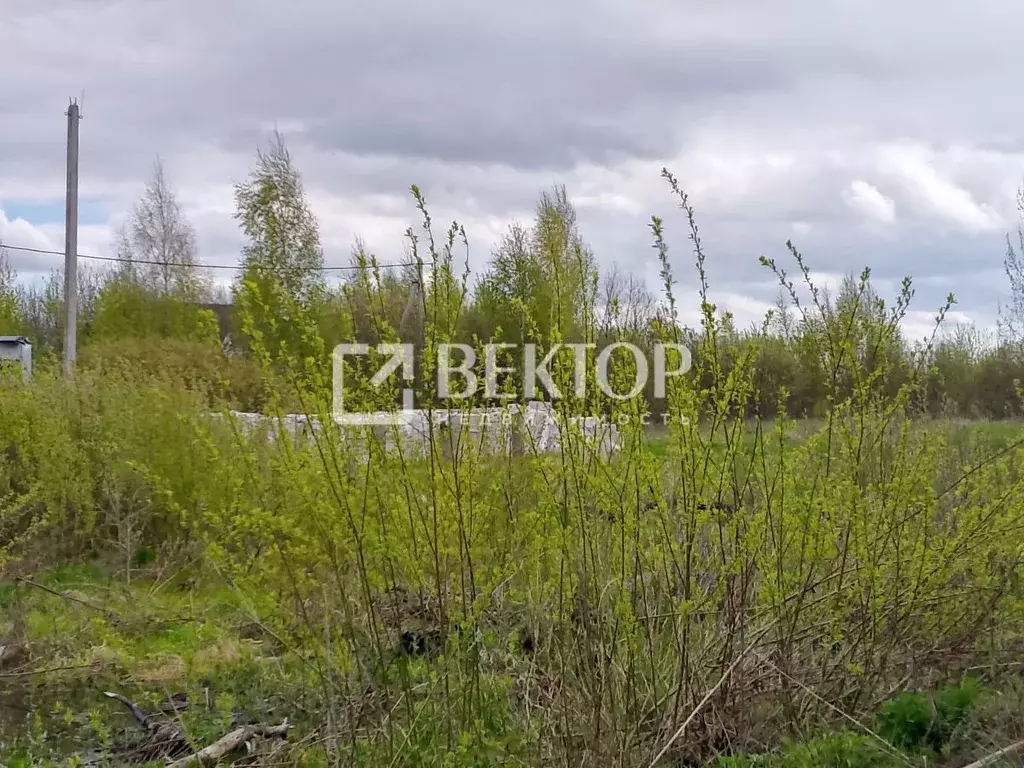 Участок в Костромская область, Кострома пос. Волжский, 13-й кв-л,  ... - Фото 0