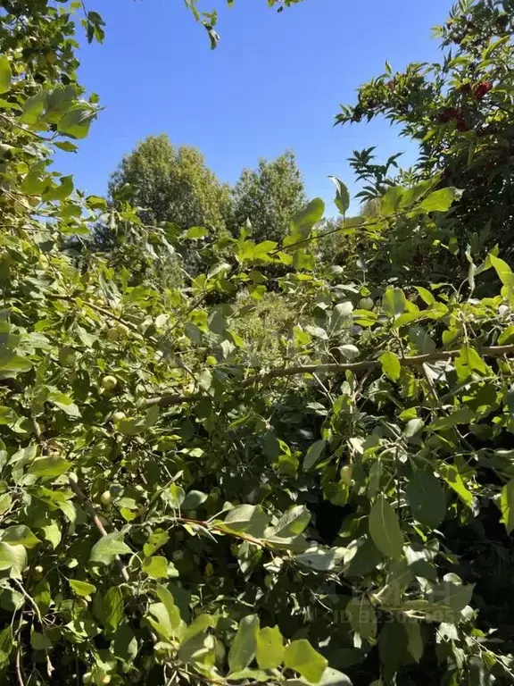 Участок в Башкортостан, Стерлитамакский район, Наумовский сельсовет, ... - Фото 2