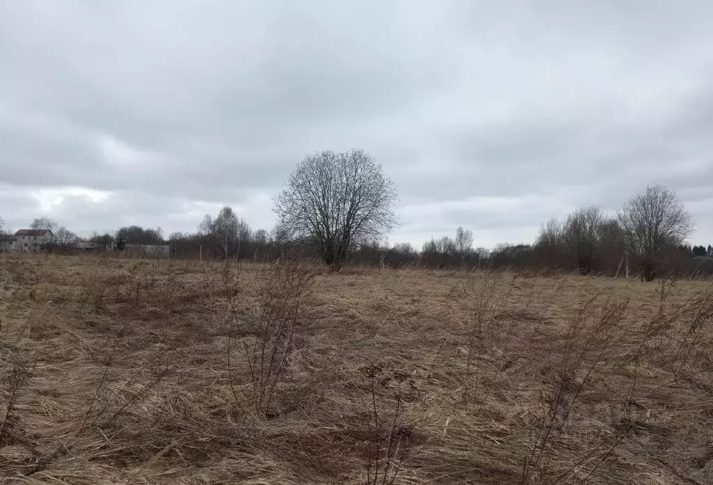 Участок в Московская область, Дмитровский муниципальный округ, д. ... - Фото 0