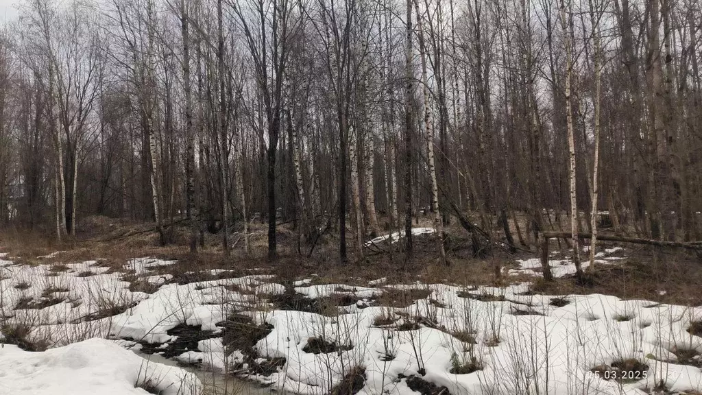 Участок в Ленинградская область, Ломоносовский район, Виллозское ... - Фото 1