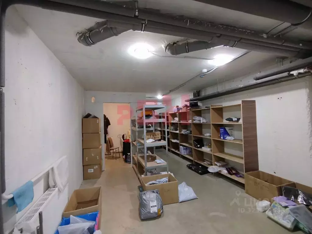 Торговая площадь в Курганская область, Курган Солнечный бул., 38 (65 ... - Фото 2