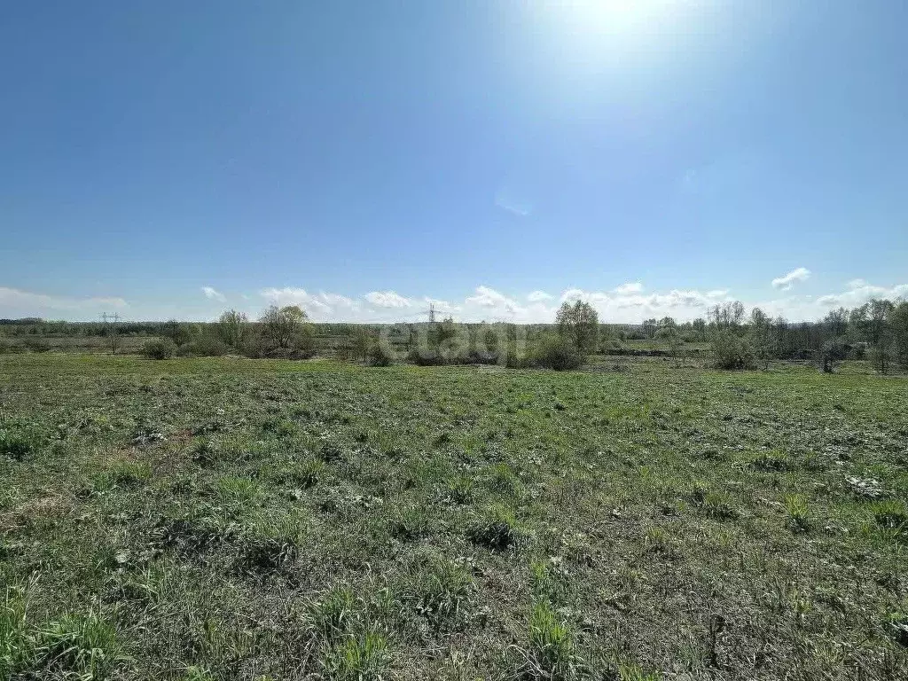 Участок в Нижегородская область, Богородский муниципальный округ, с. ... - Фото 1