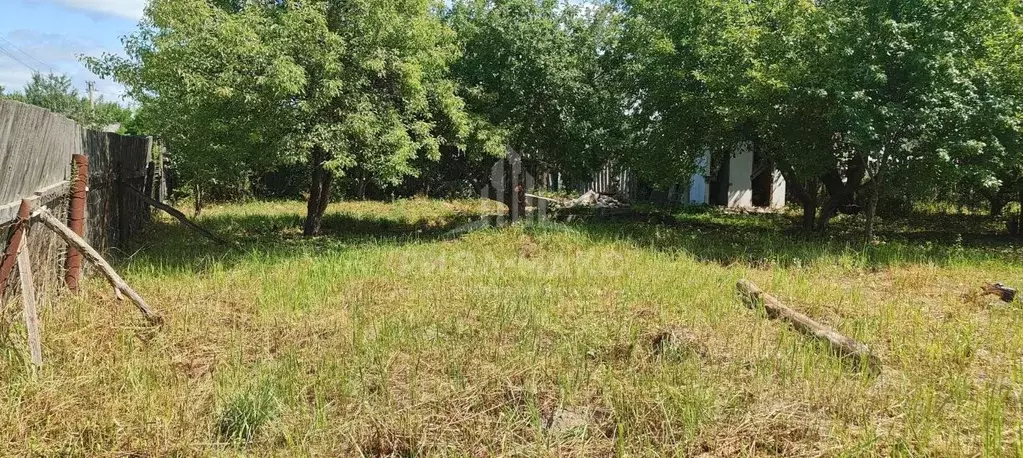 Участок в Брянская область, Брянский район, Новодарковичское с/пос, д. ... - Фото 2