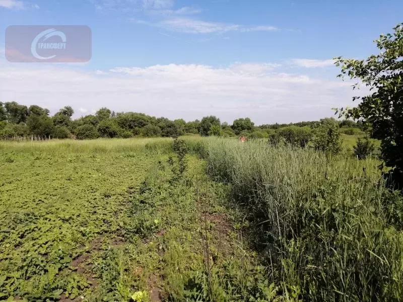 Купить Участок В Новоусманском Районе Воронежской Области