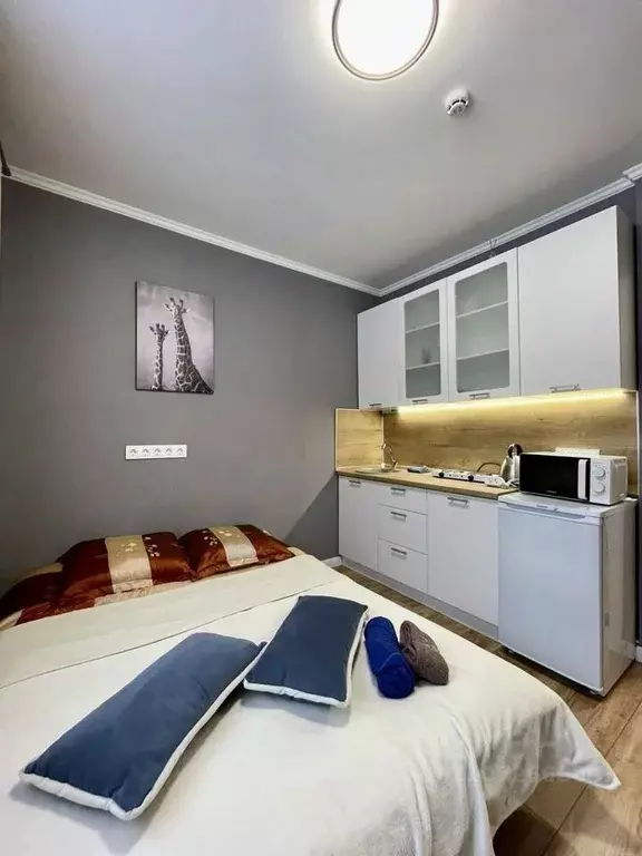 Студия Москва ул. Наметкина, 9К3 (19.0 м) - Фото 1