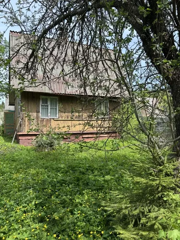 Дом в Владимирская область, Александровский муниципальный округ, ... - Фото 2