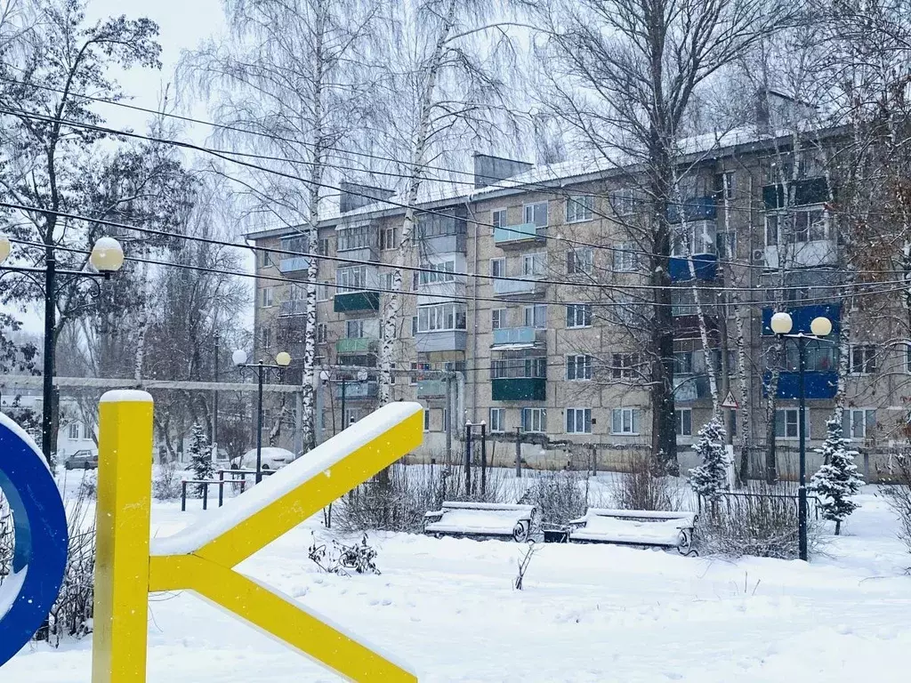 1-к кв. Пензенская область, Бессоновский район, с. Чемодановка ... - Фото 1