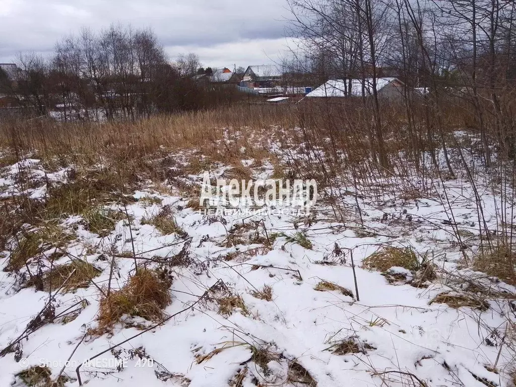 Участок в Ленинградская область, Волховский район, Колчановское с/пос, ... - Фото 1