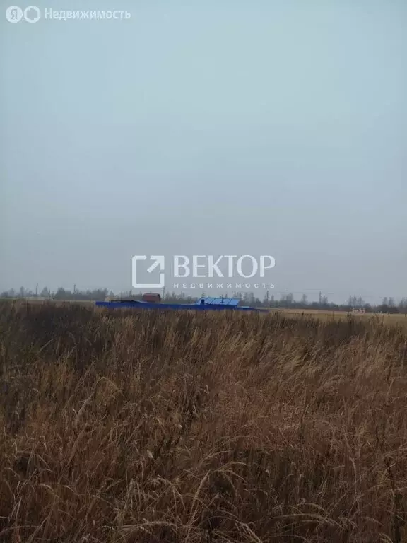 Участок в Кострома, Счастливая улица (11.77 м) - Фото 1