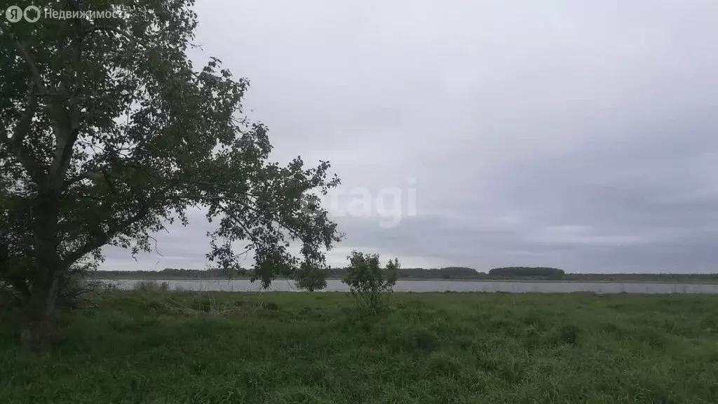 Участок в Курганская область, Белозерский муниципальный округ, деревня ... - Фото 0