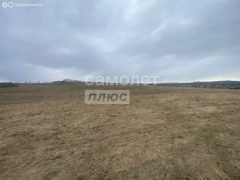 Участок в Тюменяк, Луговая улица, 5 (8 м) - Фото 1