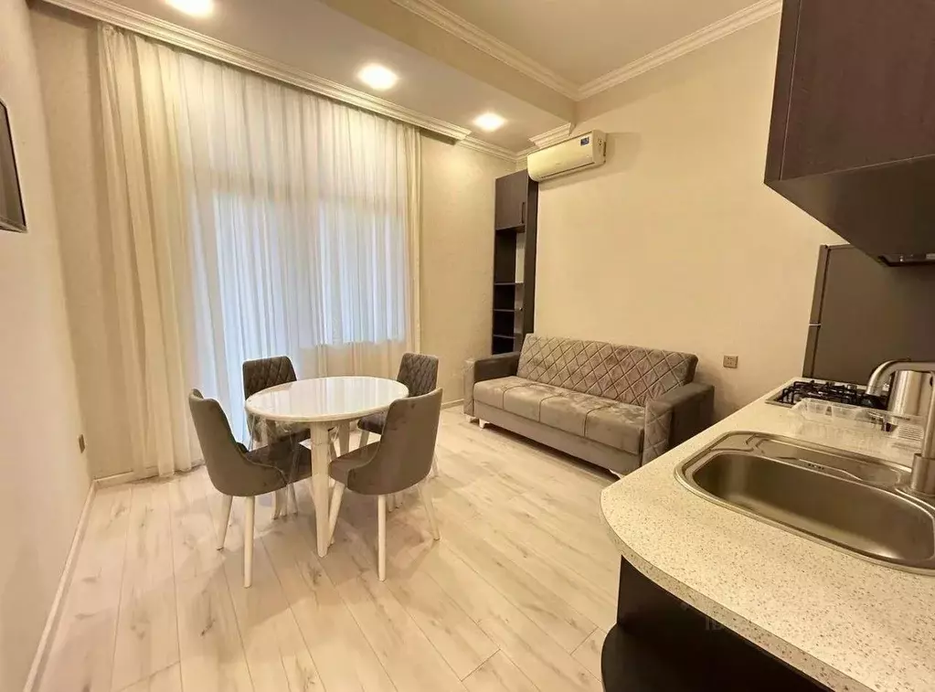 1-к кв. Краснодарский край, Сочи ул. Ленина, 219А/1к1 (30.0 м) - Фото 1