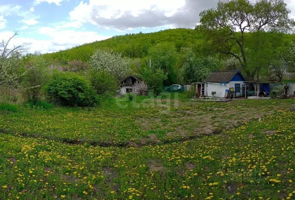 Участок в Амурская область, Благовещенск Строитель садовое ... - Фото 1