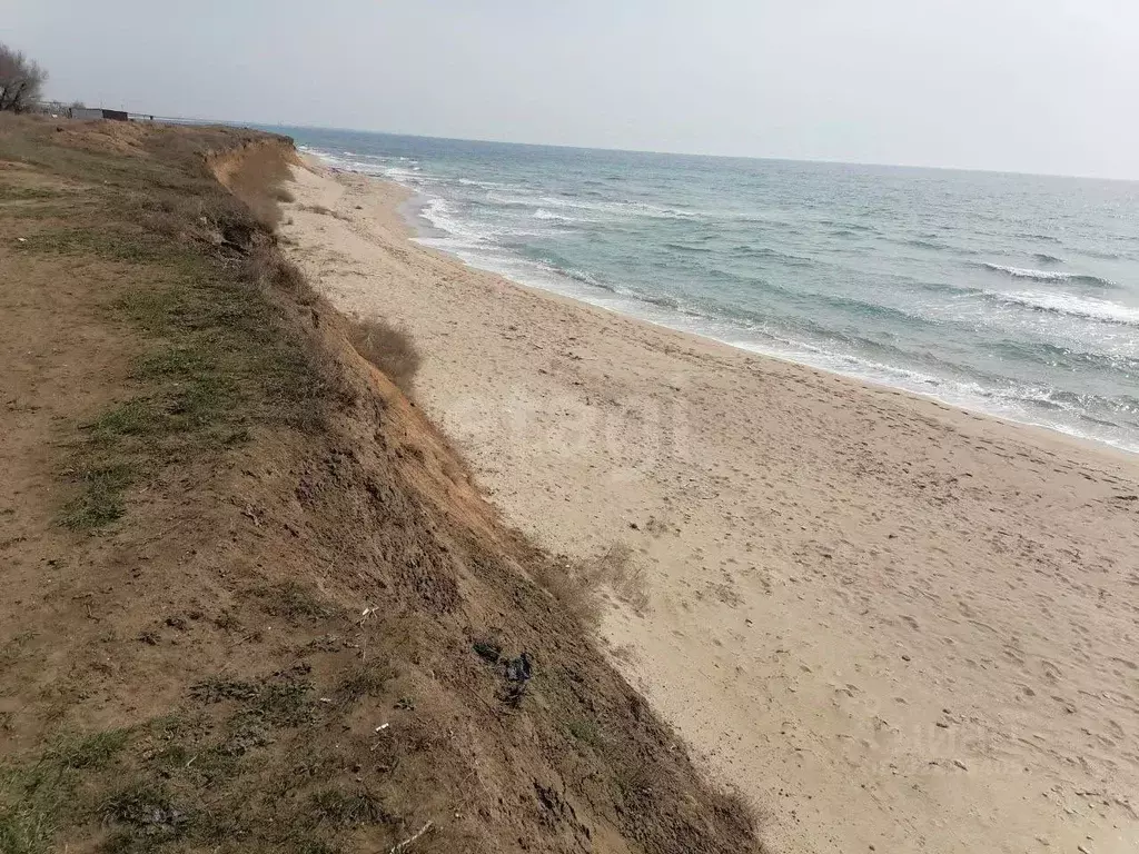 Участок в Крым, Черноморский район, Окуневское с/пос, с. Марьино ул. ... - Фото 1