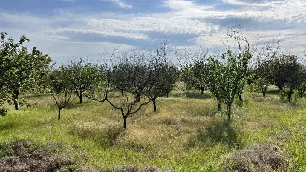 Участок в Крым, Красноперекопский район, с. Магазинка  (60.0 сот.) - Фото 2