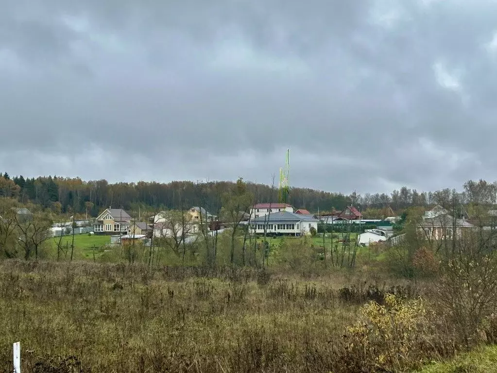Участок в Московская область, Чехов муниципальный округ, д. Хоросино ... - Фото 2