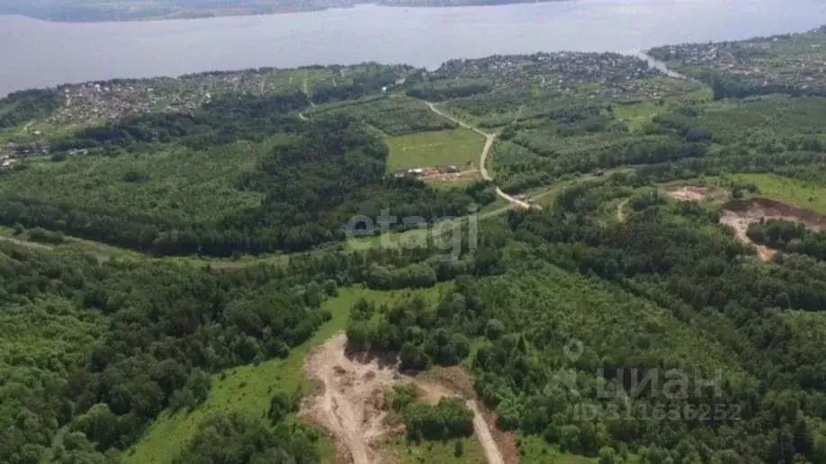 Участок в Пермский край, Добрянский городской округ, д. Бобки  (9.8 ... - Фото 1