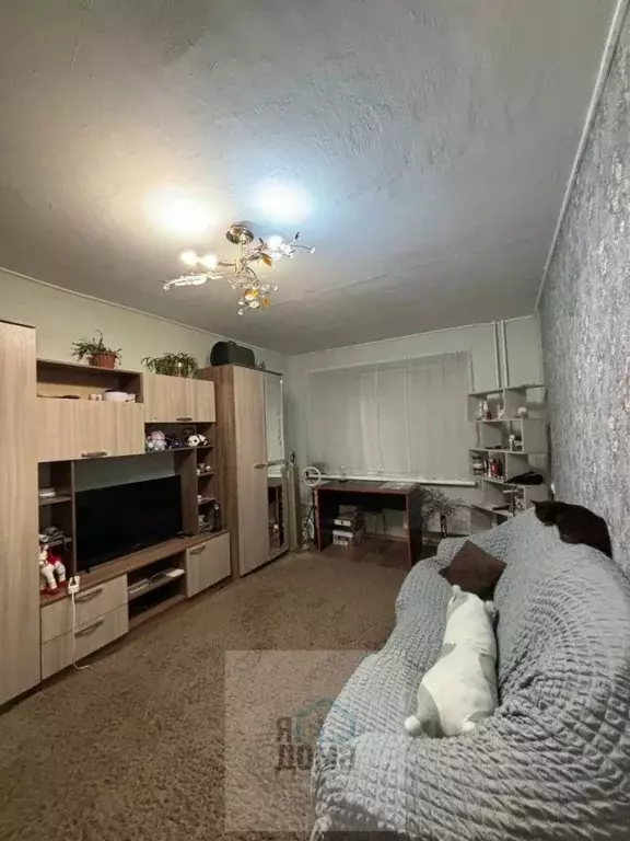 1-к кв. Томская область, Томск ул. Суворова, 14 (36.0 м) - Фото 2