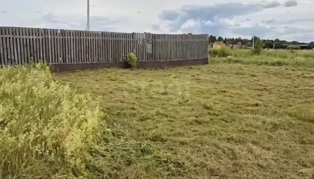 Участок в Ярославская область, Некрасовский муниципальный округ, с. ... - Фото 2