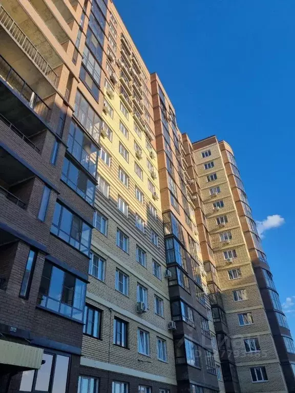 2-к кв. Омская область, Омск ул. Успенского, 31В (46.0 м) - Фото 1