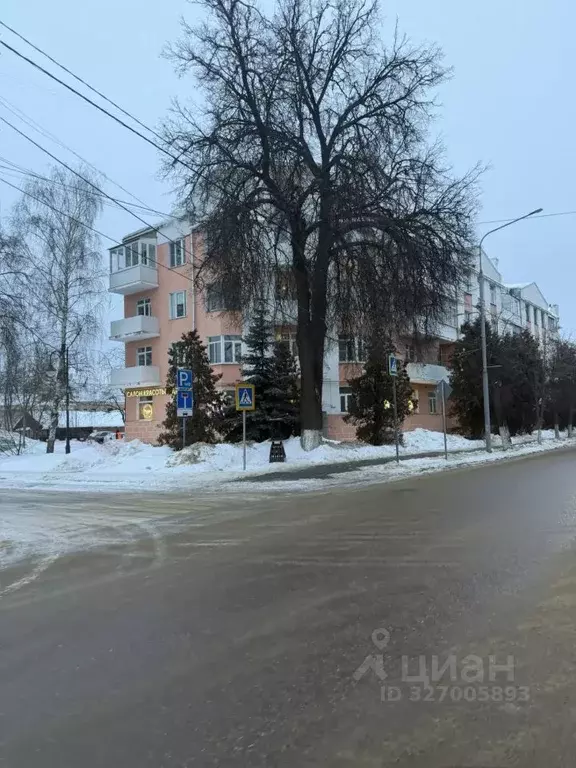 Офис в Московская область, Ногинск Богородский городской округ, ул. ... - Фото 1