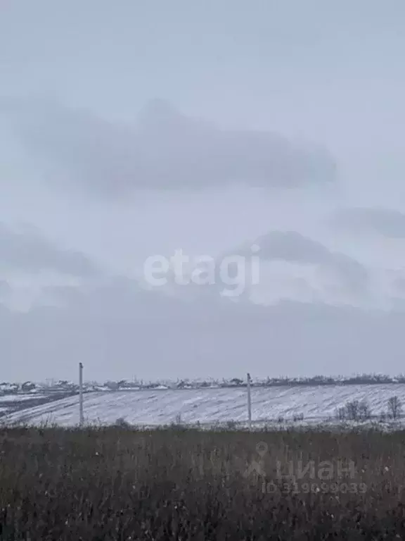 Участок в Белгородская область, Белгородский район, Головинское с/пос, ... - Фото 1