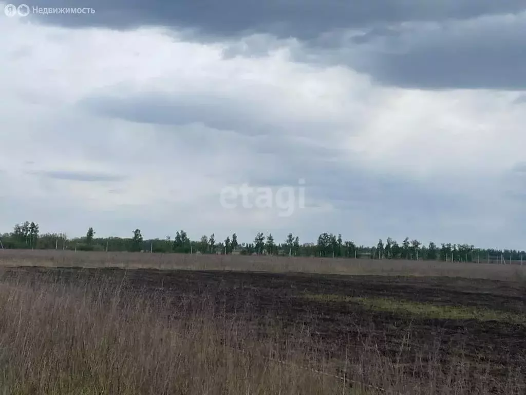Участок в Тамбовский муниципальный округ, посёлок совхоза Комсомолец ... - Фото 1