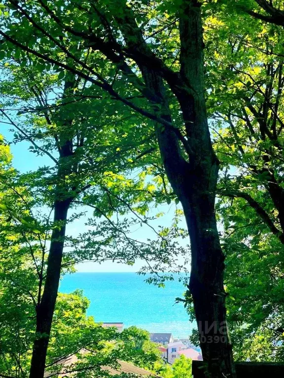 Дом в Краснодарский край, Туапсинский муниципальный округ, с. ... - Фото 1