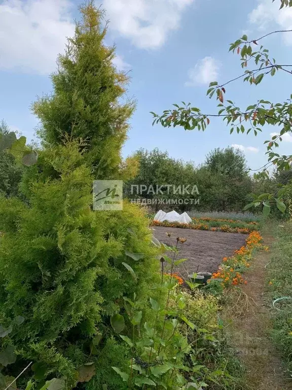 Участок в Липецкая область, Липецк Дачный-5 СНТ, ул. 47-я (6.0 сот.) - Фото 1