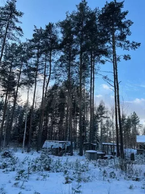 Дом 156,3 м на участке 10 сот. - Фото 1