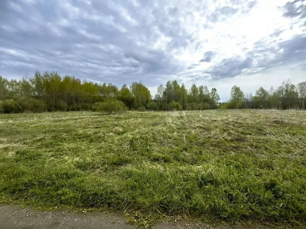 Участок в Московская область, Сергиево-Посадский городской округ, д. ... - Фото 0