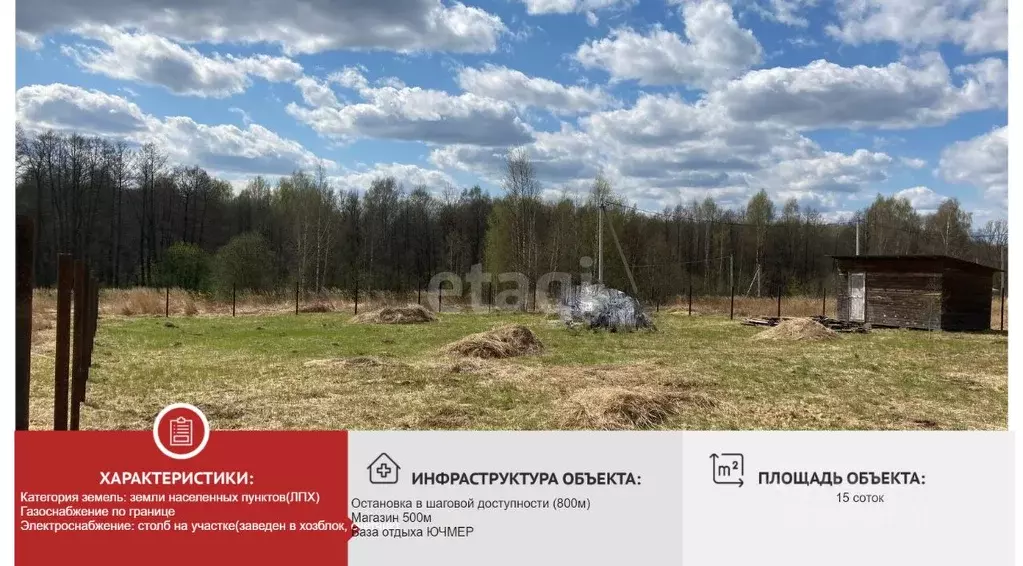 Участок в Владимирская область, Петушинский муниципальный округ, д. ... - Фото 1