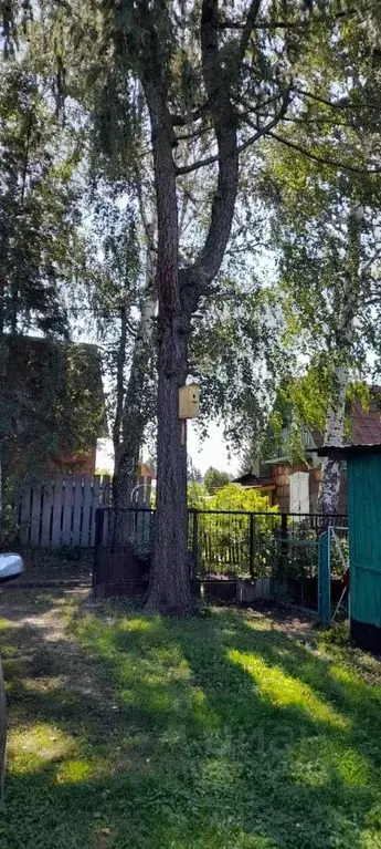 Дом в Новосибирская область, Новосибирск Буревестник садовое ... - Фото 1