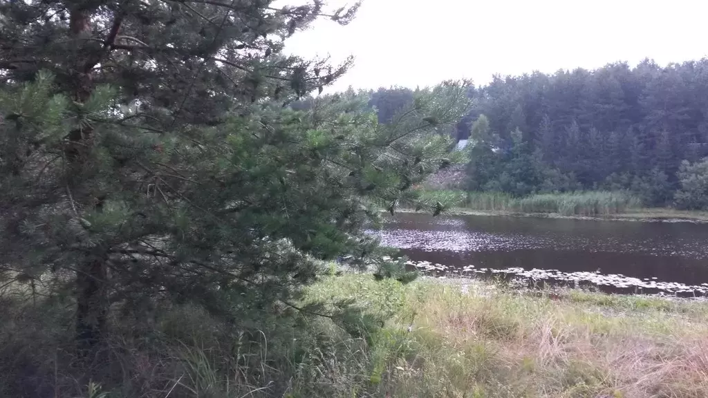 Участок в Ленинградская область, Волховский район, Иссадское с/пос, д. ... - Фото 1