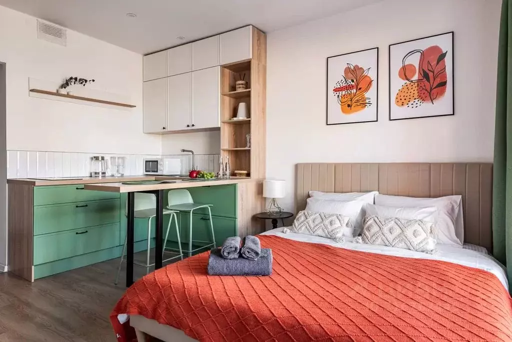 Студия Московская область, Одинцово ул. Каштановая, 16 (25.0 м) - Фото 1