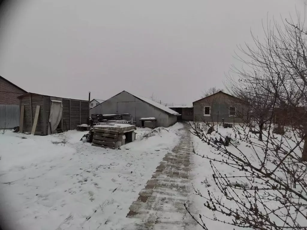 Дом в Курская область, Курский район, Моковский сельсовет, д. Духовец ... - Фото 2