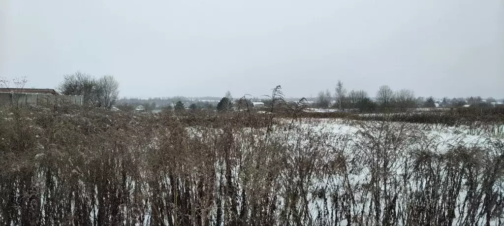 Участок в Брянская область, Брянский район, Добрунское с/пос, д. ... - Фото 2