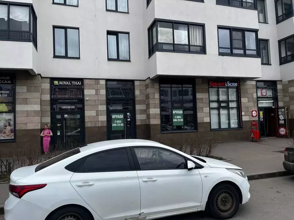 Помещение свободного назначения в Санкт-Петербург ул. Владимира ... - Фото 1