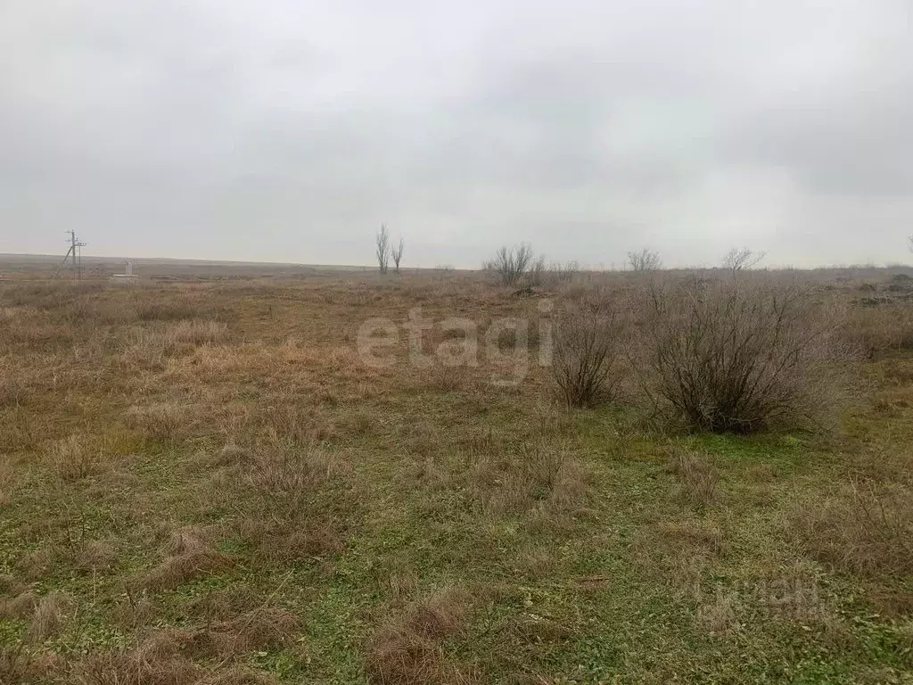 Участок в Крым, Красногвардейский район, с. Амурское  (2873.81 сот.) - Фото 1
