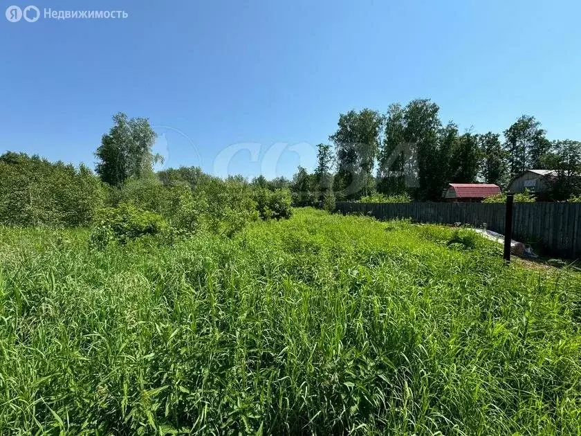 Участок в Тюменский район, село Каменка (10 м) - Фото 0