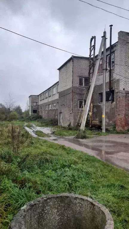 Производственное помещение в Калининградская область, Неманский ... - Фото 1