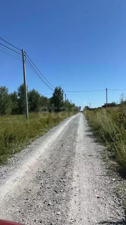 Участок в Новосибирская область, Искитимский район, Быстровский ... - Фото 1