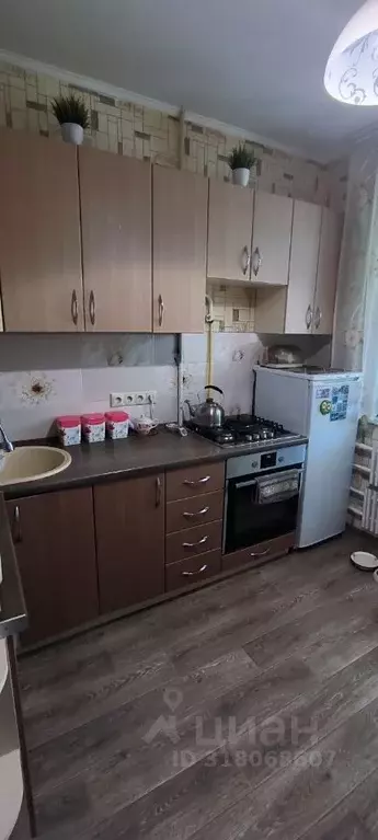 2-к кв. Оренбургская область, Оренбург Ноябрьская ул., 58 (50.1 м) - Фото 1