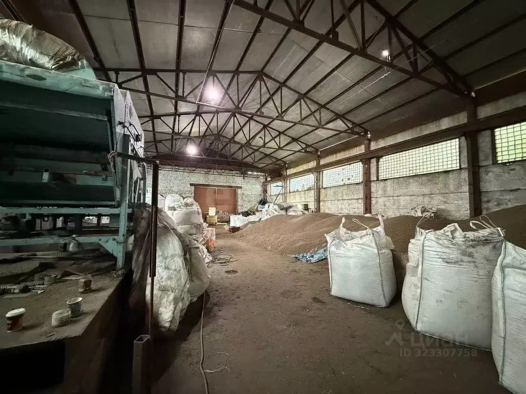 Склад в Воронежская область, Хохольское городское поселение, с. Хохол ... - Фото 1